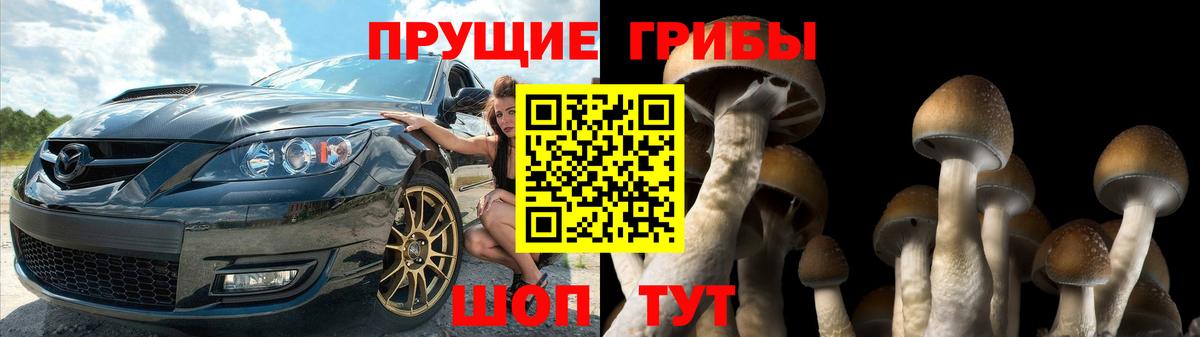 Галлюциногенные грибы MAGIC MUSHROOMS Иркутск